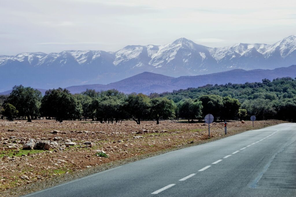 pexels mographe 30855637 Marrakech outdoor hikes